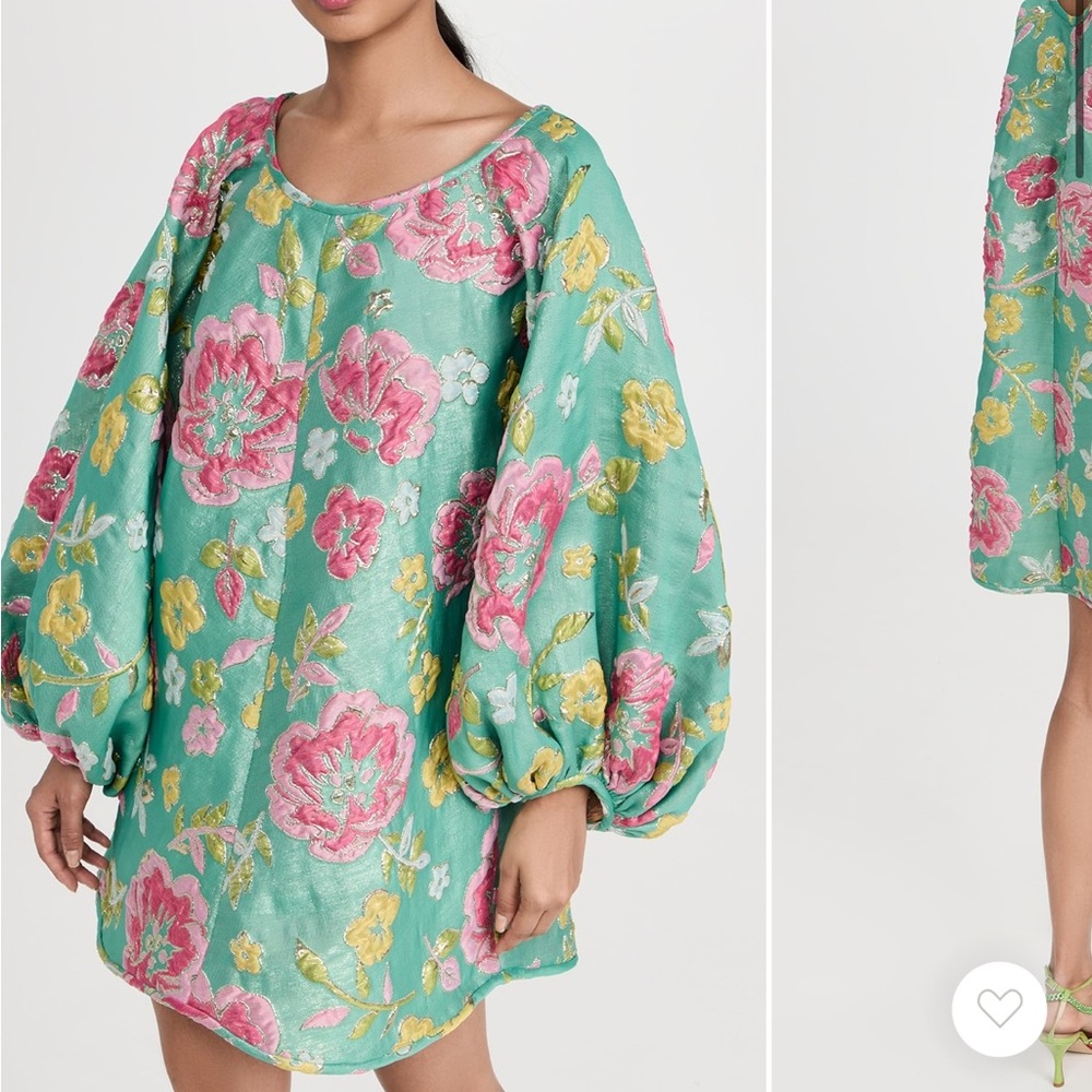 NIB NWT Arianne Elmy - Good Luck Dress in Green